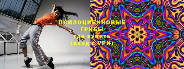 винт Алзамай