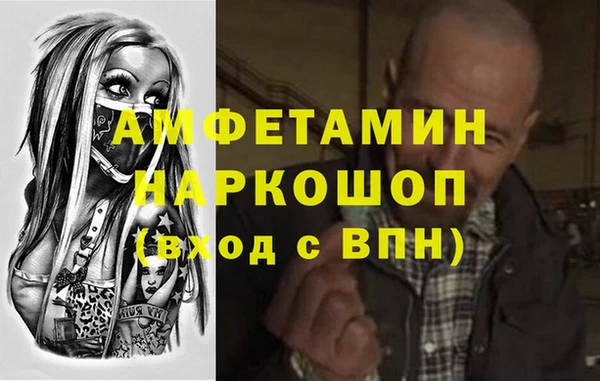 молекула духа Алексеевка