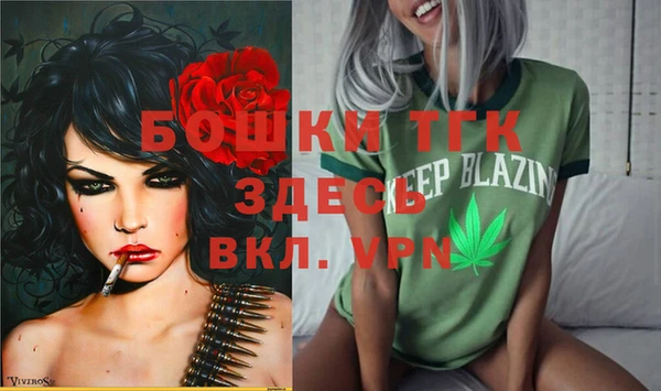 молекула духа Алексеевка