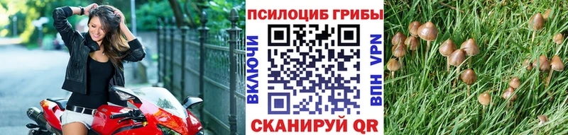 Псилоцибиновые грибы Magic Shrooms  закладки  mega   Усть-Илимск 