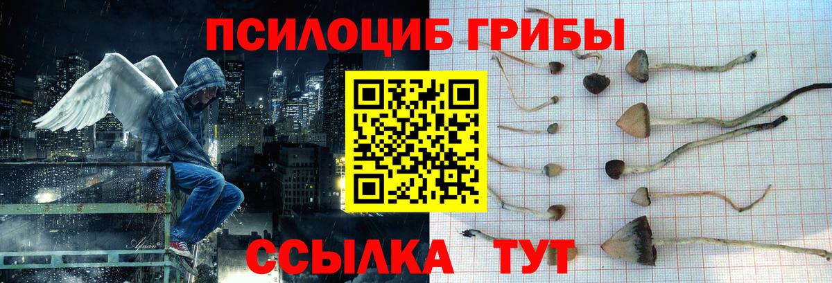 Псилоцибиновые грибы ЛСД Усть-Илимск