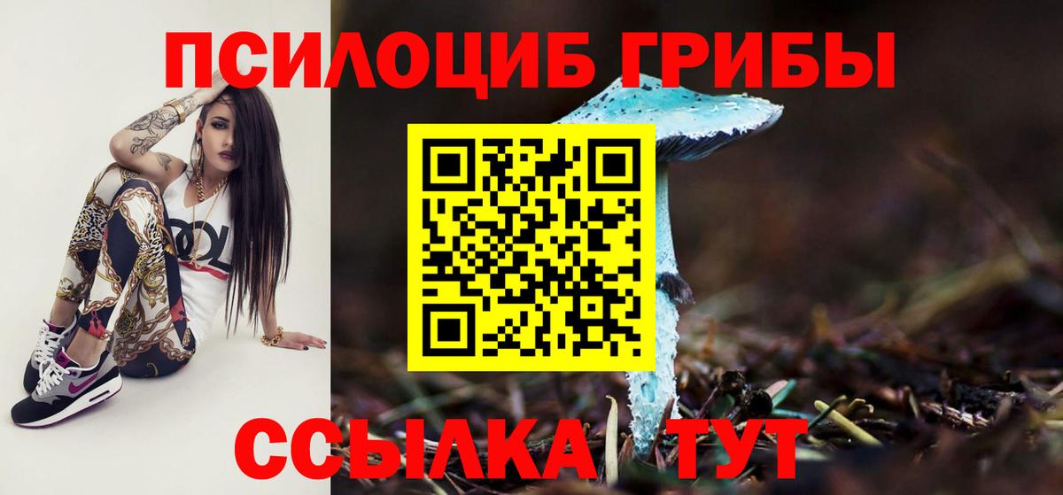 Усть-Илимск  Псилоцибиновые грибы Magic Shrooms  Вход с VPN  Галлюциногенные грибы MAGIC MUSHROOMS 